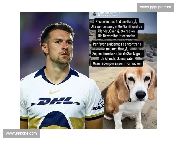 拉姆塞悬赏万美金寻犬 Halo，三周搜寻仍盼归期